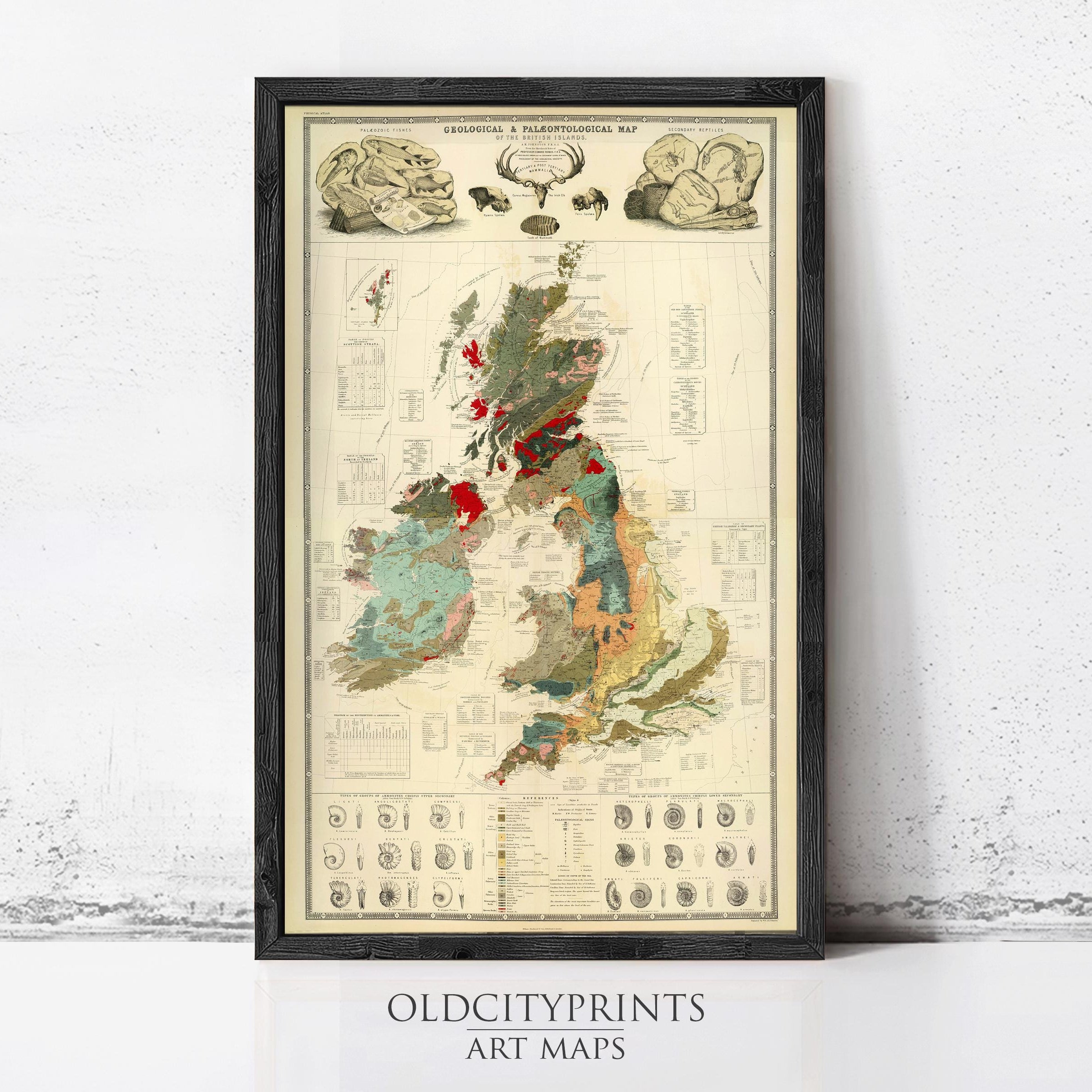 The image is a framed vintage geological map of the United Kingdom, featuring detailed illustrations and labels.