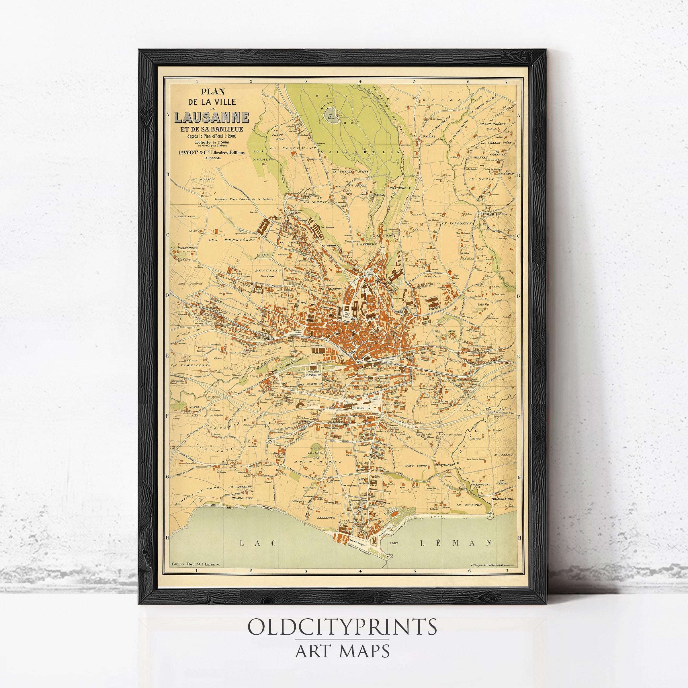 The image is a framed vintage map of the city of Paris, France, depicting the city's streets, landmarks, and surrounding areas.