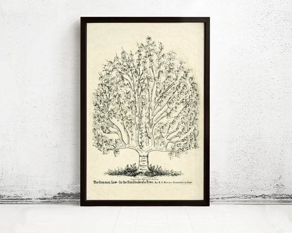 Law Office Poster Decor: The common law in the similitude of a tree by R.C. Bierce 1878 | Office Decor Print | Law Office Decor Poster