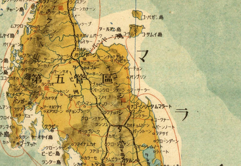 files/25a6692c-04aa-4772-a00e-14a016d344a9.jpg