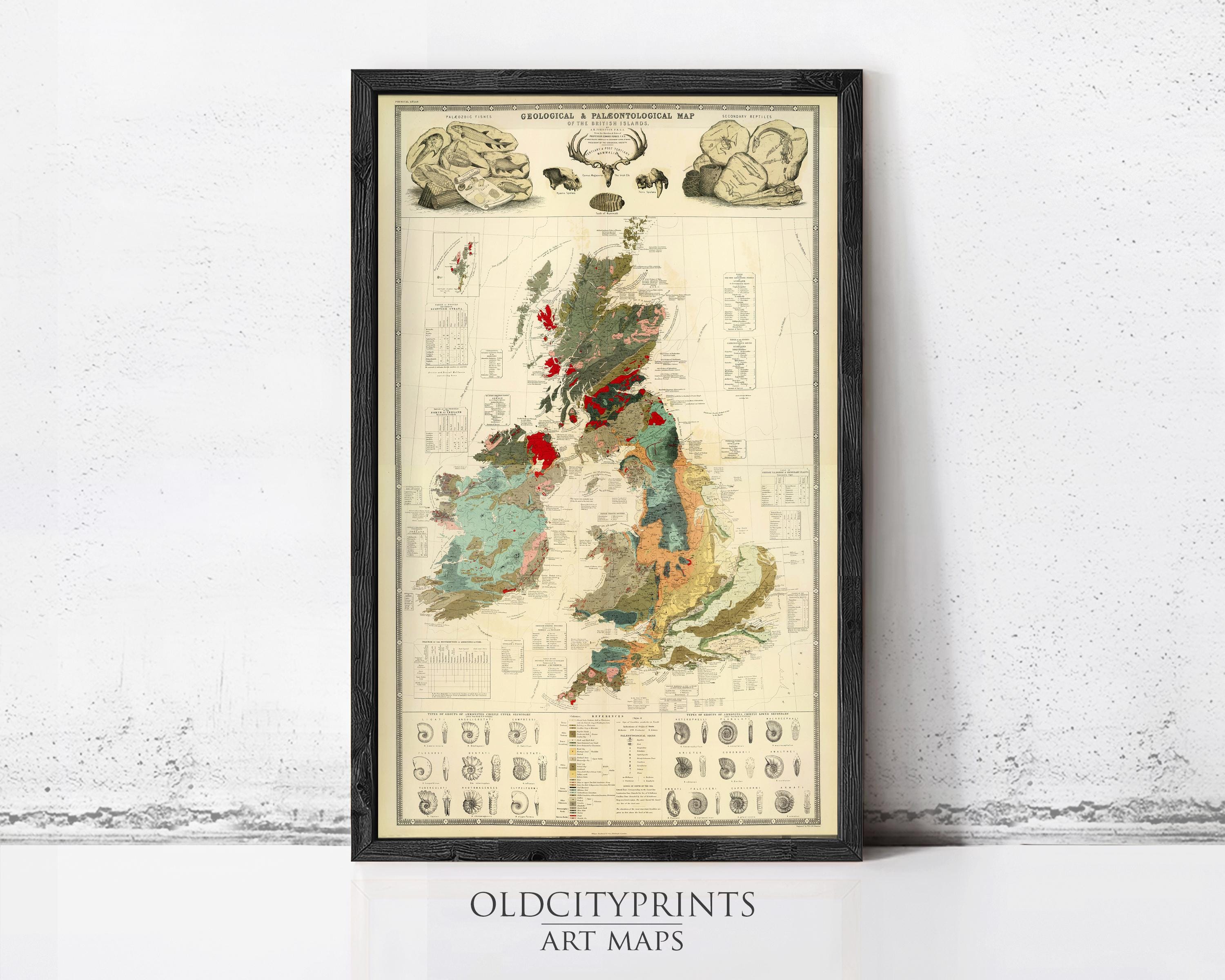 The image is a framed vintage geological map of the United Kingdom, featuring detailed illustrations and labels.
