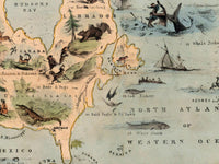 Old Zoological Map of The World 1844 Vintage Poster Animals of the World zoology map | Animal World Map Wall Map Print | Large Poster Print