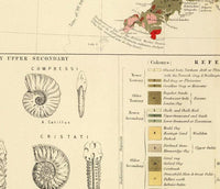 Old Map of United Kingdom Geological Palaeontological 1854 Vintage Map | Vintage Map Wall Art Print | Large Map Print