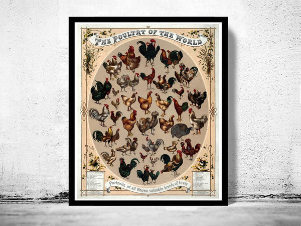 Vintage Poster The Poultry of the world 1868 | Vintage Map Wall Art Print | Large Poster Print | Home Decor Wall Art