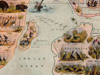 Old Zoological Map of The World 1844 Vintage Poster Animals of the World zoology map | Animal World Map Wall Map Print | Large Poster Print