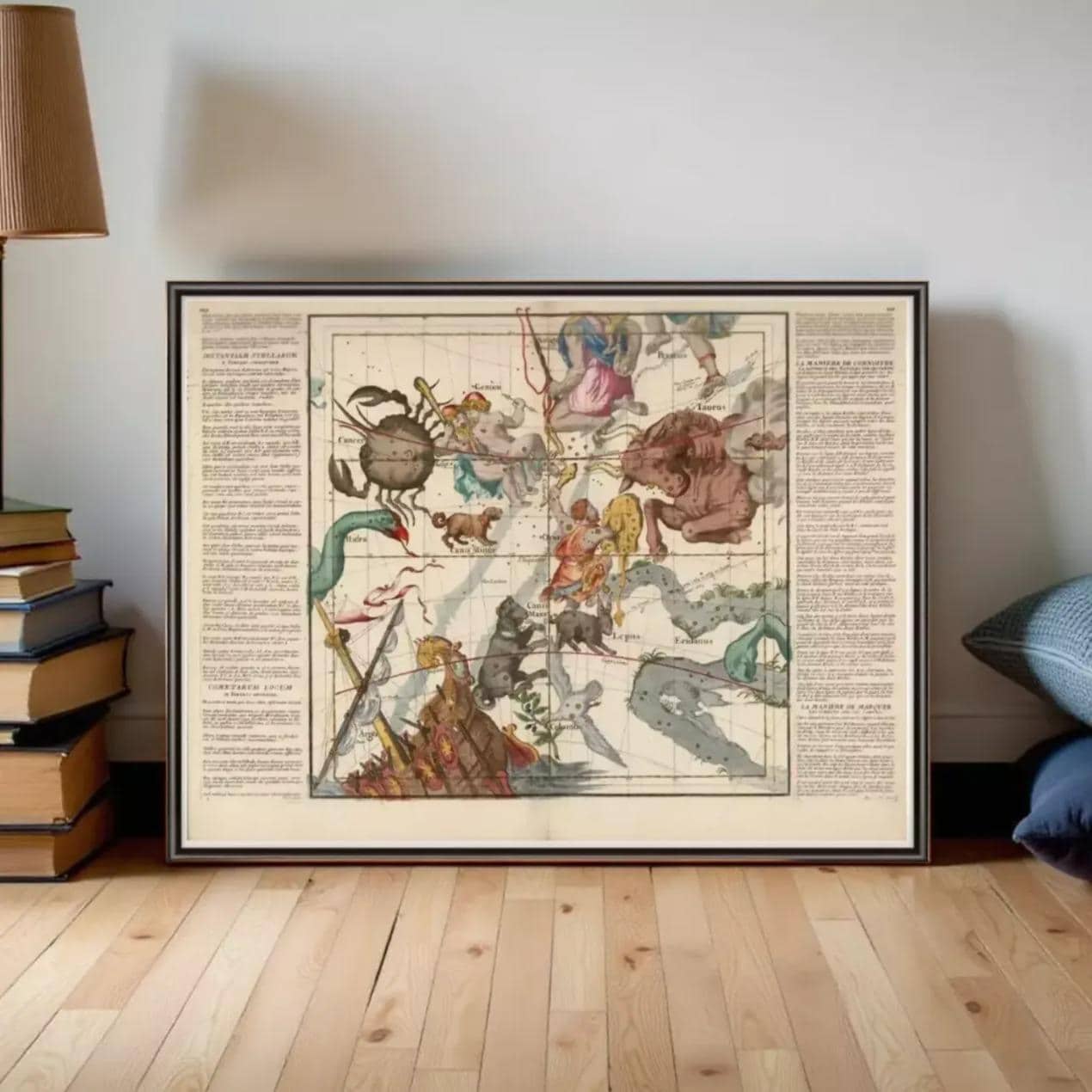 The image is a framed vintage map depicting various celestial objects and figures, including a large crab, a lion, a boat, and other animals and symbols. The map is framed on a white brick wall, and the text surrounding the map is too small to read clearly.