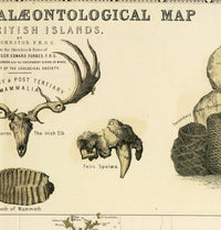 Old Map of United Kingdom Geological Palaeontological 1854 Vintage Map | Vintage Map Wall Art Print | Large Map Print