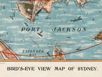 Old Map of Sydney 1905 Australia Vintage Map of Sydney  | Vintage Map Wall Art Print