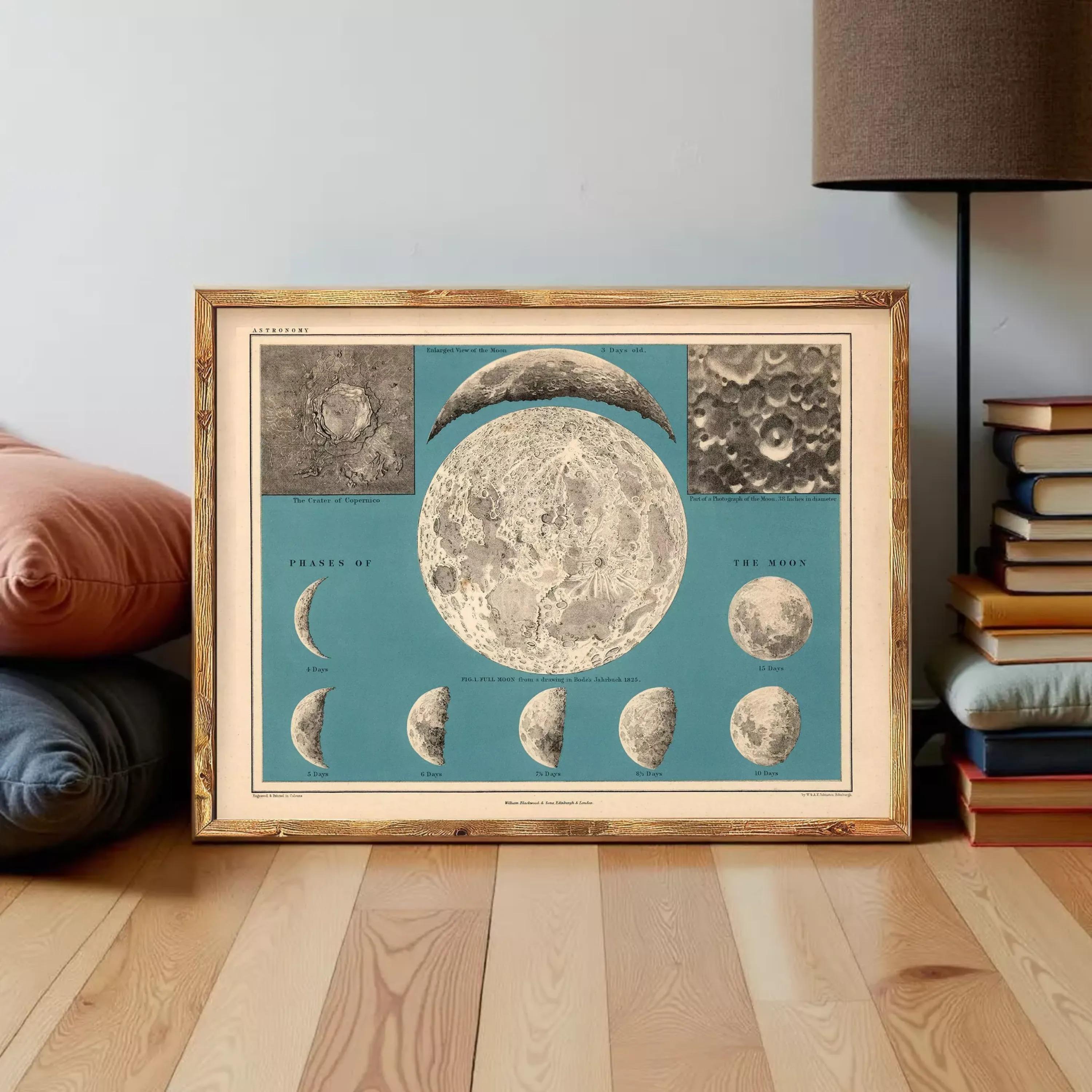 The image is a framed illustration depicting the phases of the moon, including the waxing and waning phases, as well as the crescent and gibbous phases.
