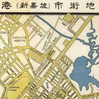 Old Map of Singapore  | Vintage Map Wall Art Print