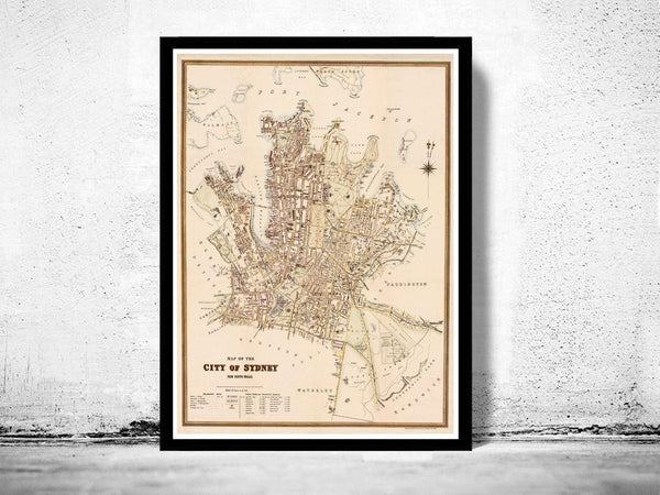 Old Map of Sydney Australia 1895 Vintage Map of Sydney | Vintage Map Wall Art Print