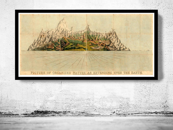Old Poster Mountains of the World Comparative Heights Chart 1828 Vintage Poster | Vintage Map Wall Art Print | Large Poster Print