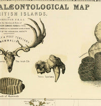 Old Map of United Kingdom Geological Palaeontological 1854 Vintage Map | Vintage Poster Wall Art Print | Wall Map Print | Old Map Print