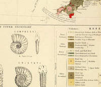 Old Map of United Kingdom Geological Palaeontological 1854 Vintage Map | Vintage Poster Wall Art Print | Wall Map Print | Old Map Print