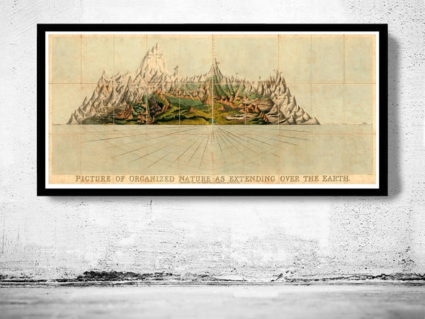 Old Poster Mountains of the World Comparative Heights Chart 1828 Vintage Poster | Vintage Poster Wall Art Print | | Map Gift