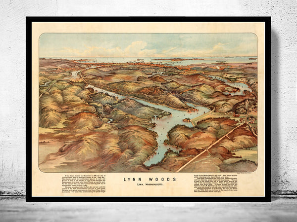 Old Map of Lynn Woods 1904 Massachusetts  | Vintage Poster Wall Art Print |