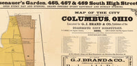 Old Map of Columbus Ohio, 1881  | Vintage Poster Wall Art Print |