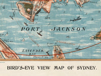 Old Map of Sydney 1905 Australia Vintage Map of Sydney  | Vintage Poster Wall Art Print |