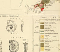 Old Map of United Kingdom Geological Palaeontological 1854 Vintage Map  | Vintage Poster Wall Art Print |