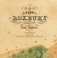 Old Map of Roxbury Boston 1849  | Vintage Poster Wall Art Print |