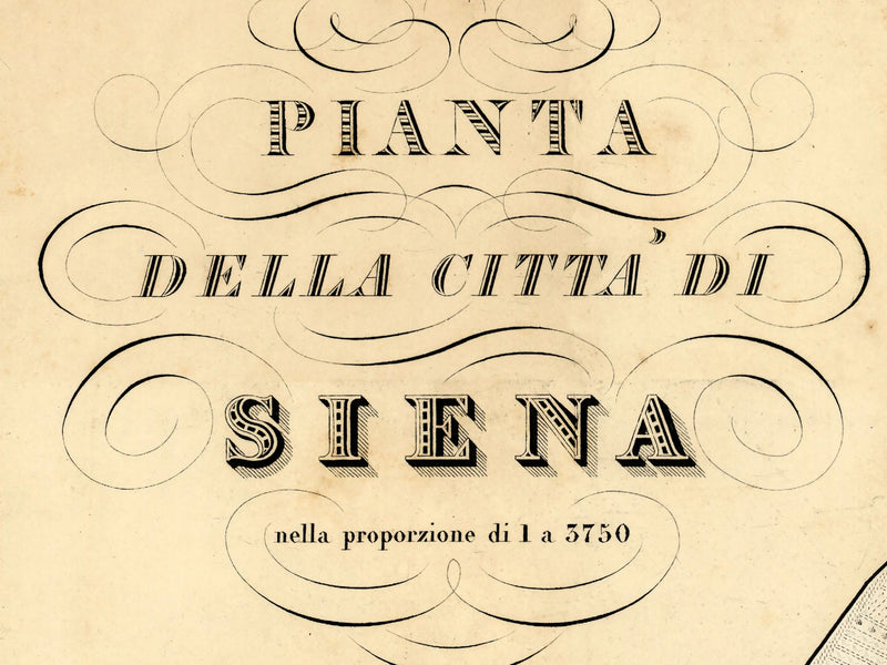 products/siena1840p3.jpg